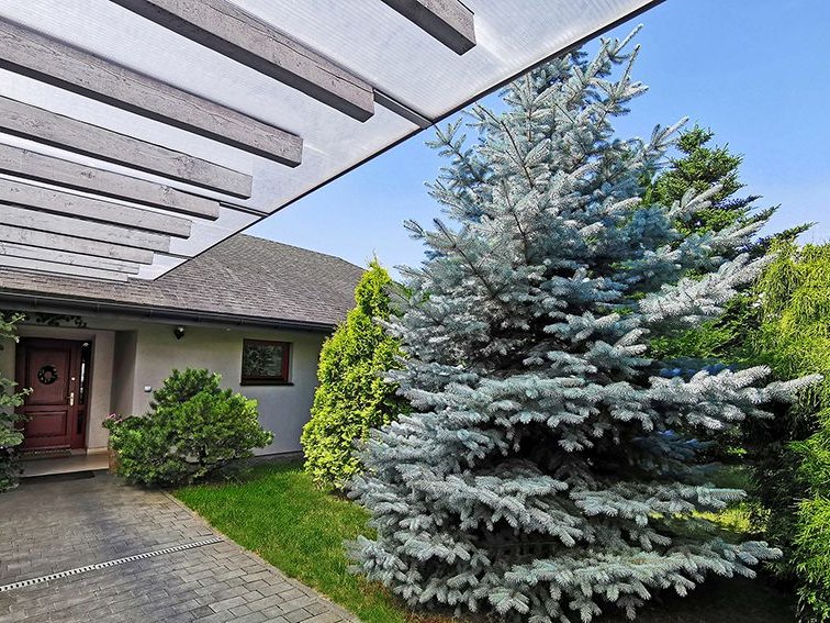 Parterowy dom blisko centrum miasta