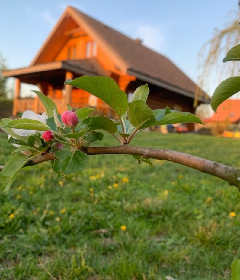 Wyjątkowy, naturalny dom z bala do zamieszkania pod Warszawą