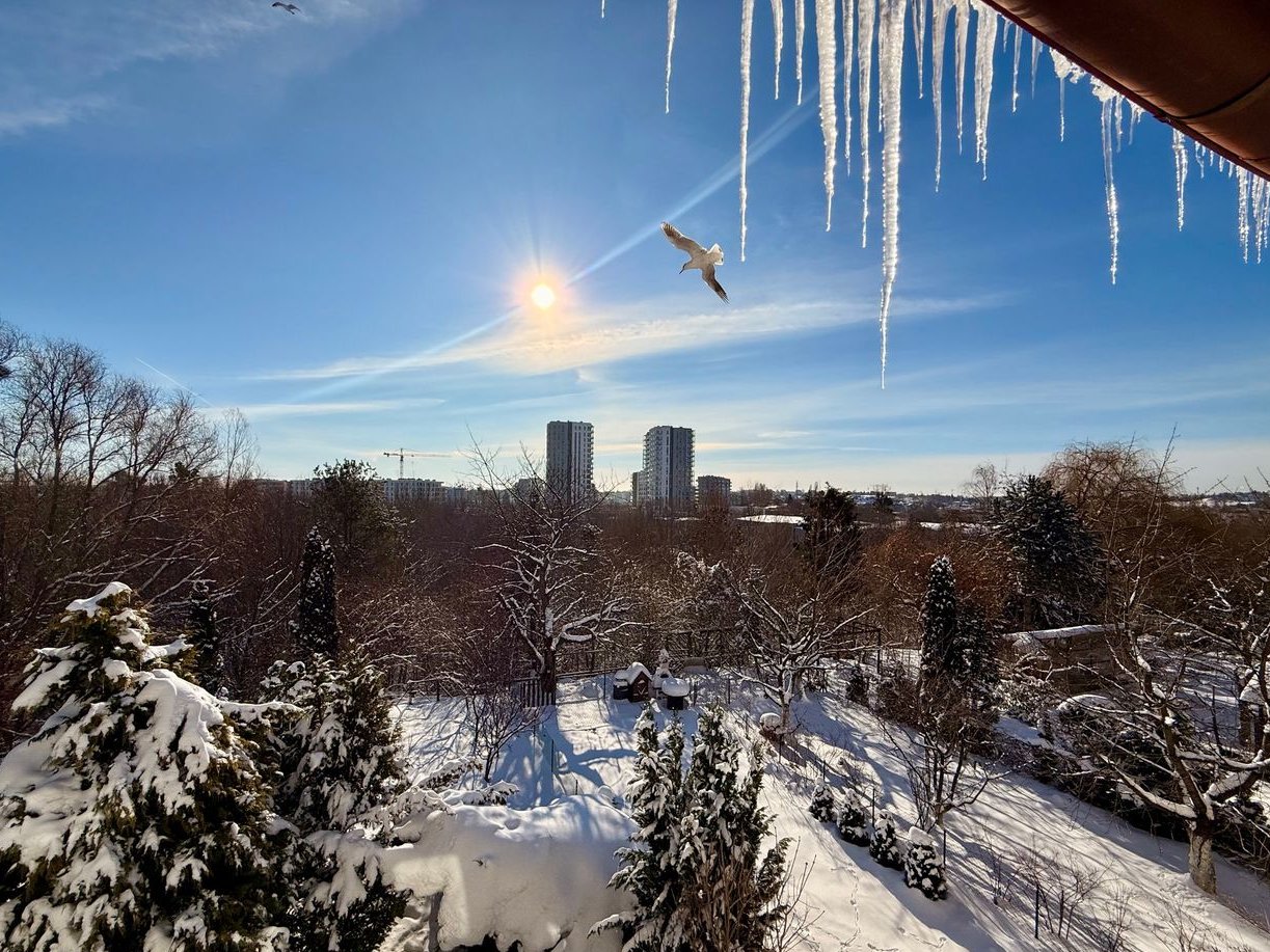OKAZJA Słoneczny dom w zieleni! 10 min Centrum Garaż Duży ogród Cisza