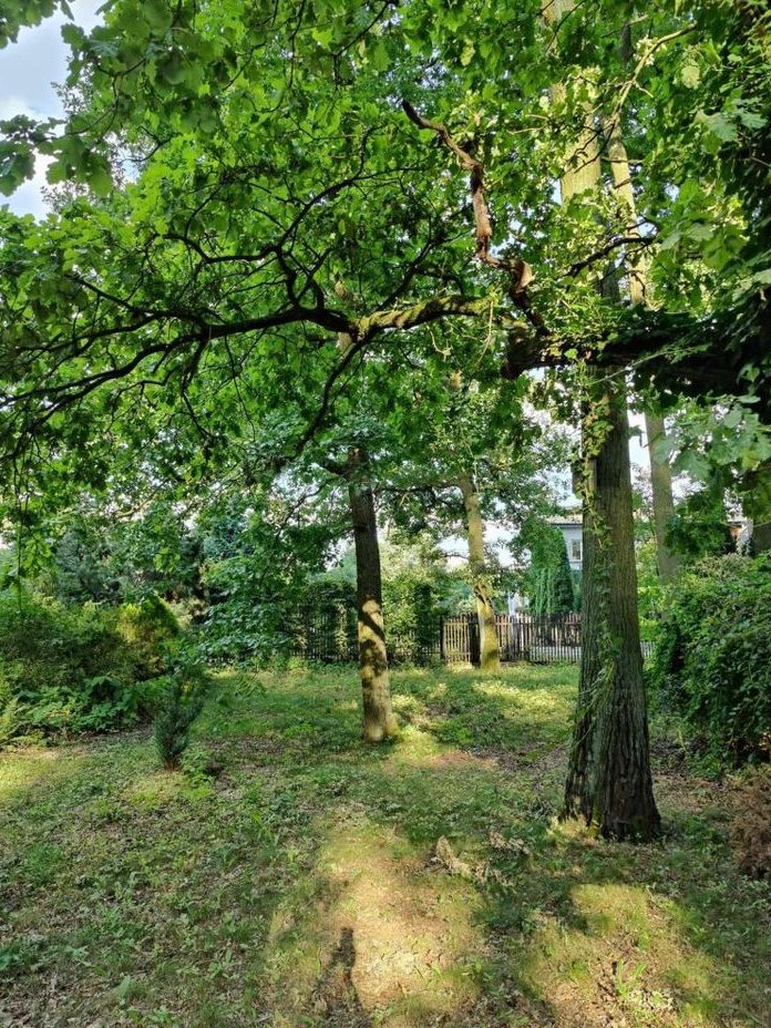 Wyjatkowy Dom w Prestiżowej Dzielnicy Podkowy