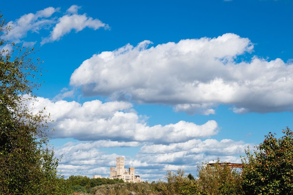 Dom i biznes w otoczeniu lasu