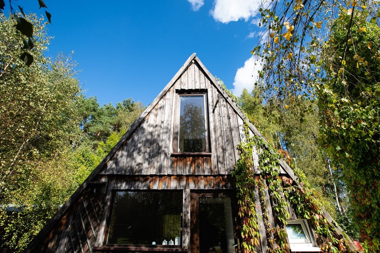 Dom i biznes w otoczeniu lasu