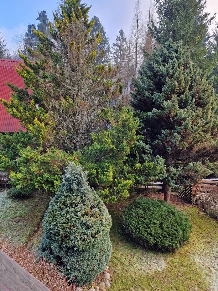 Tylko dla Koneserów