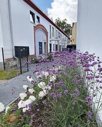 Piękny duży apartament w dworku/Krzyki/Wojszyce