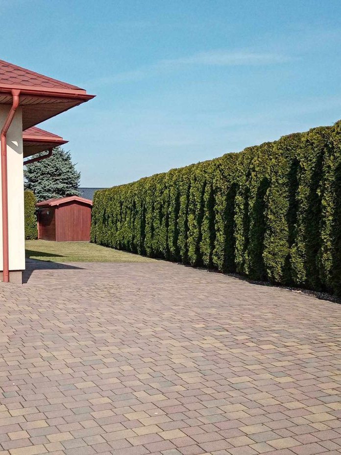 Piękny dom pod lasem