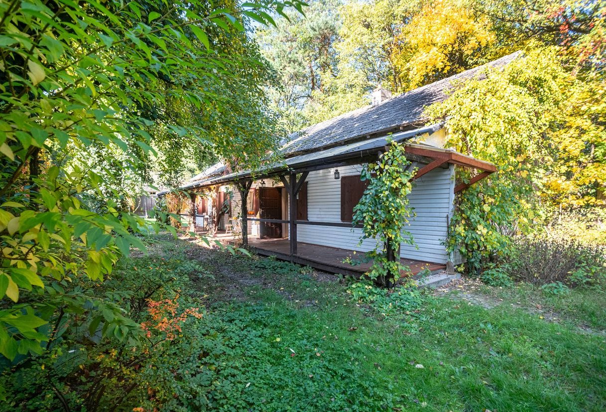 Malownicze siedlisko pod Łowiczem