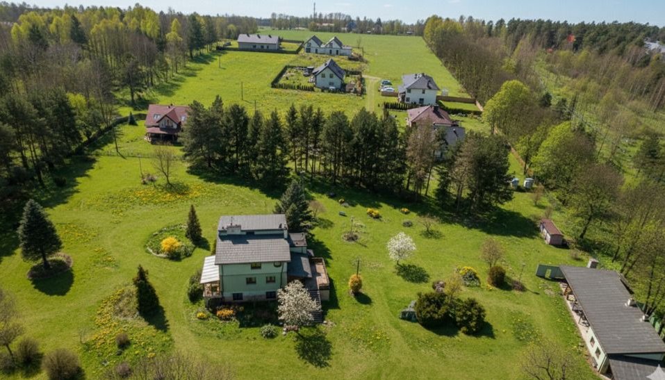 Dom w otulinie lasu.