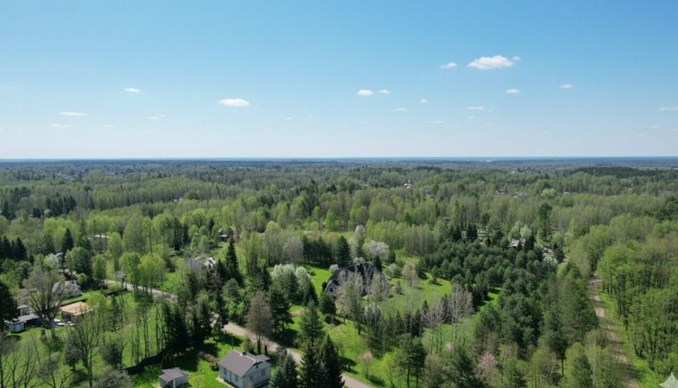 Dom w otulinie lasu.