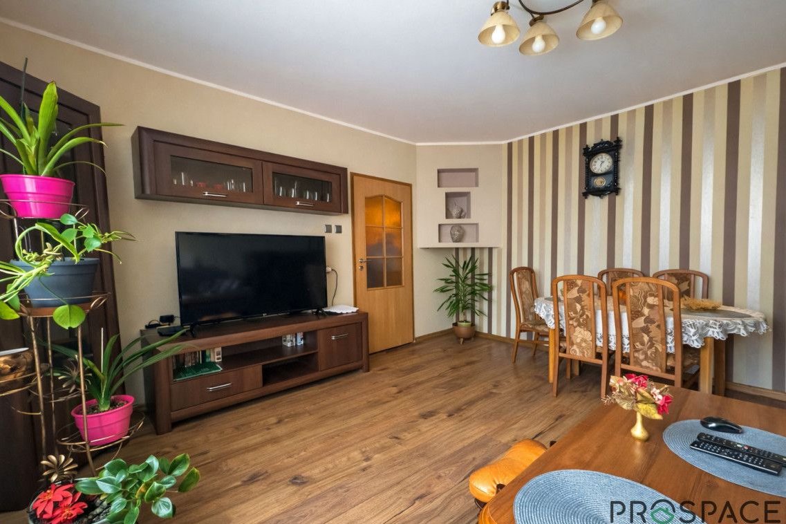 ✨m2 w ścisłym centrum miasta✨