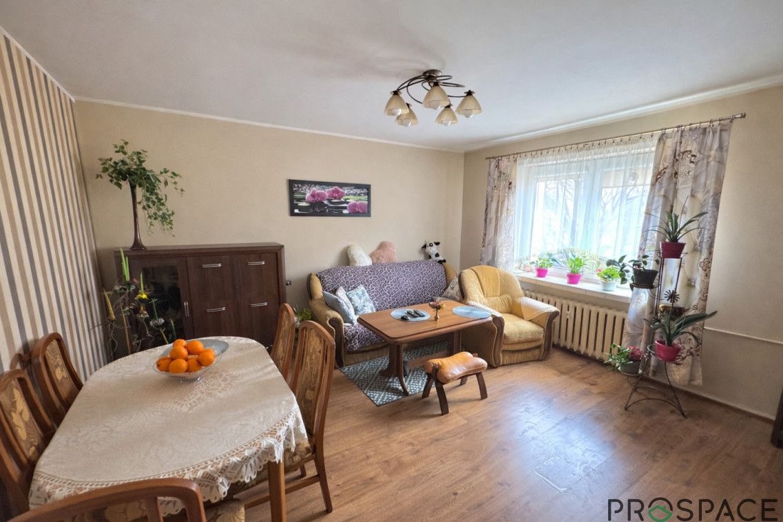 ✨m2 w ścisłym centrum miasta✨