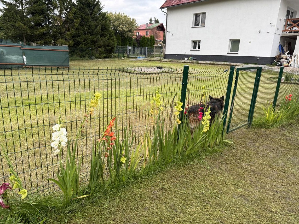 Cisza, bezpieczeństwo i przestrzeń - duża działka.
