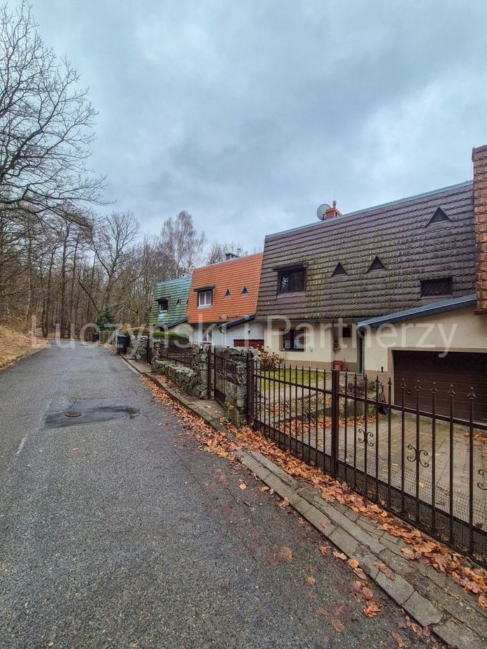 Szereg pod lasem - Cieplice