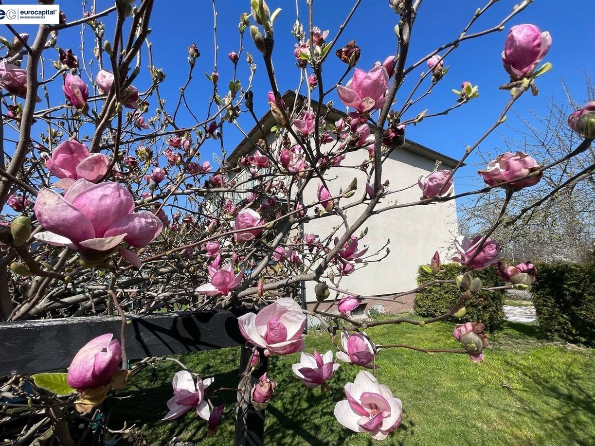 Dom dwurodzinny w Czechowicach-Dziedzicach