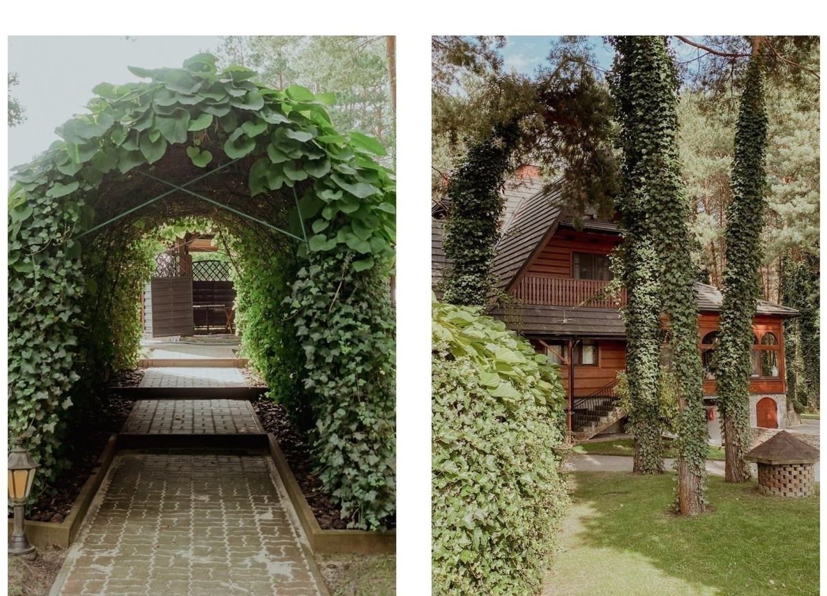 Rezydencja w lesie|7 189 m²| Klimat Konstancina