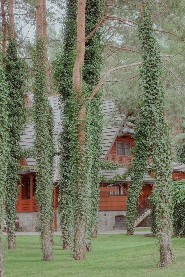 Rezydencja w lesie|7 189 m²| Klimat Konstancina