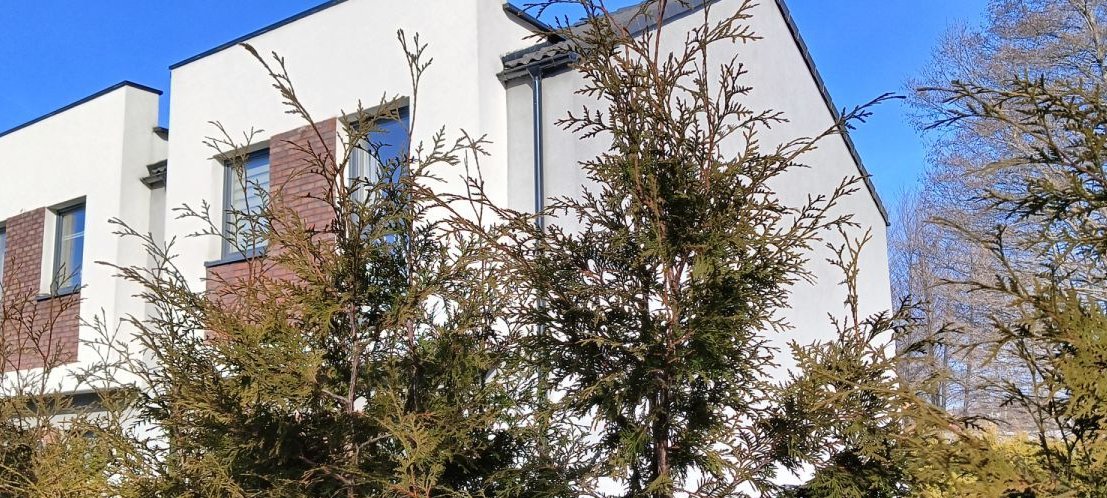 Narożny Segment w Bolszewie, działka 500 m2!