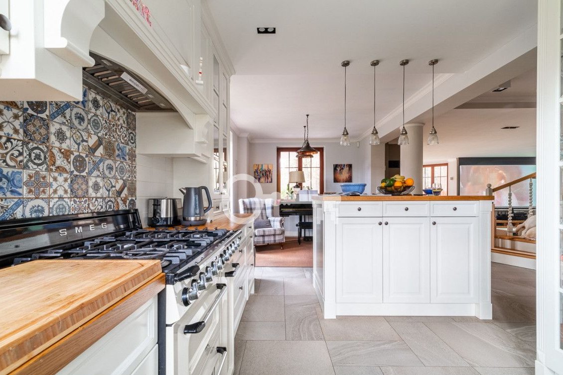 Widok na las | W sercu Puszczy Kampinoskiej