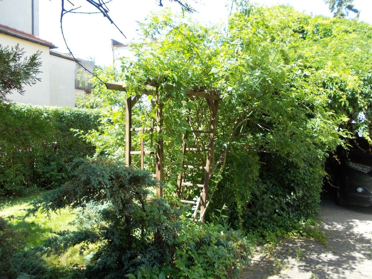 Dom w cenie mieszkania -Ołtaszyn