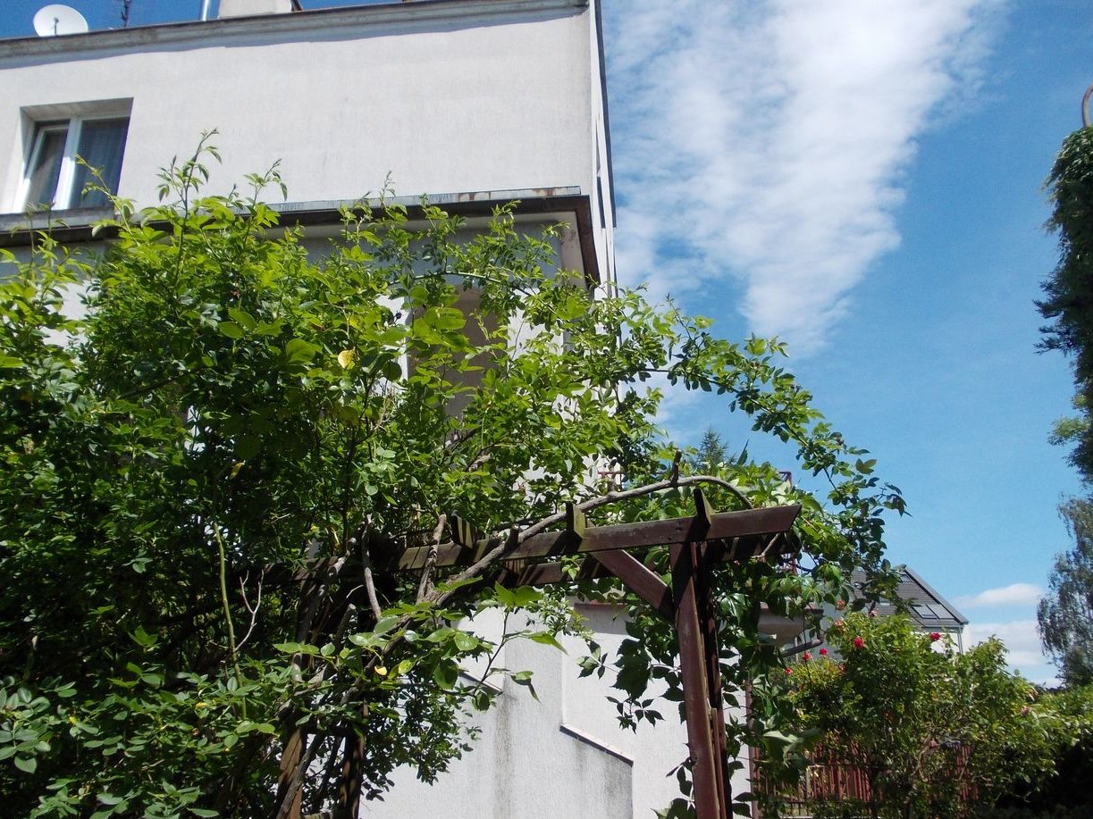 Dom w cenie mieszkania -Ołtaszyn