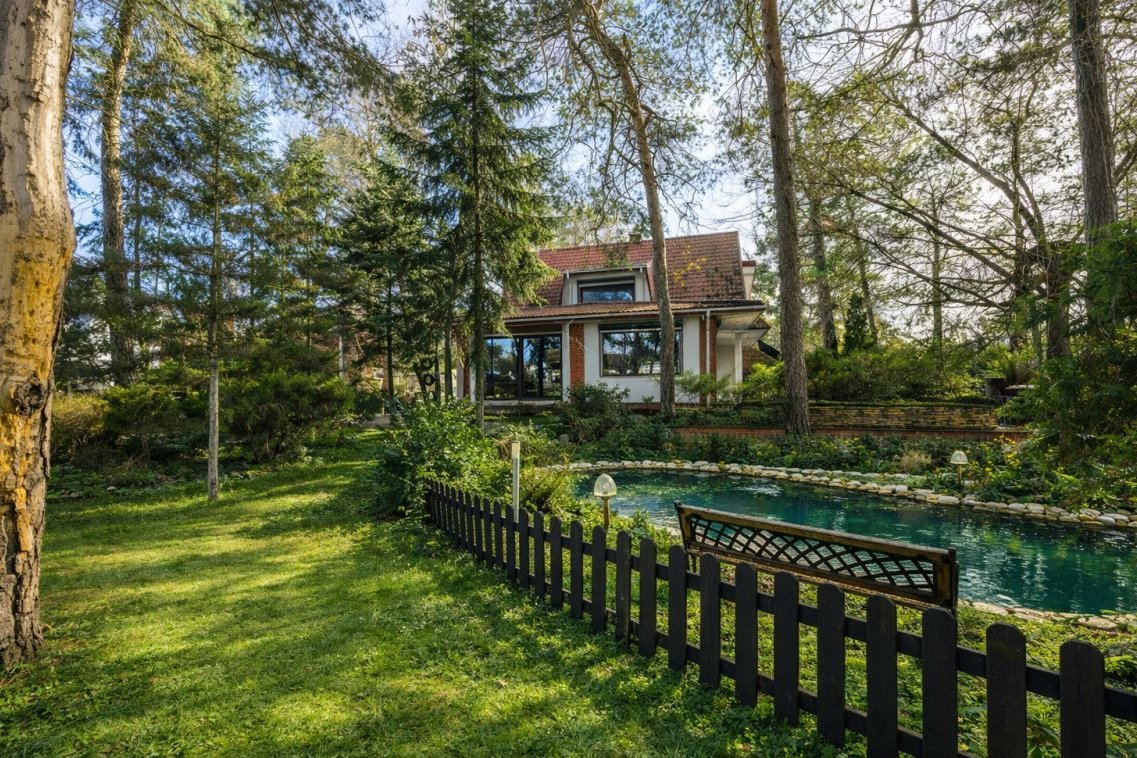 Azyl wśród pięknych drzew | Doskonała lokalizacja