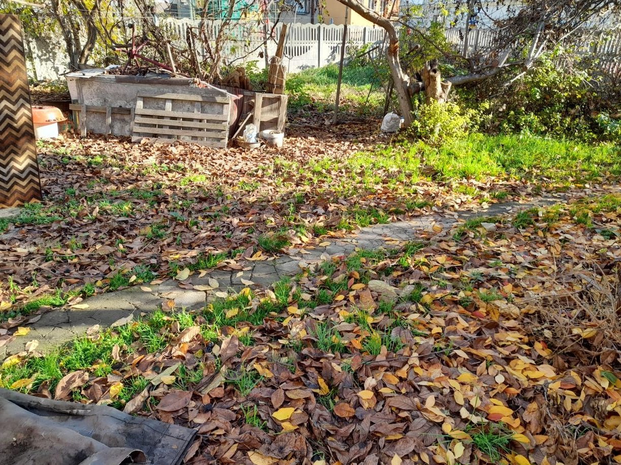 Przytulny dom z działką w spokojnej okolicy