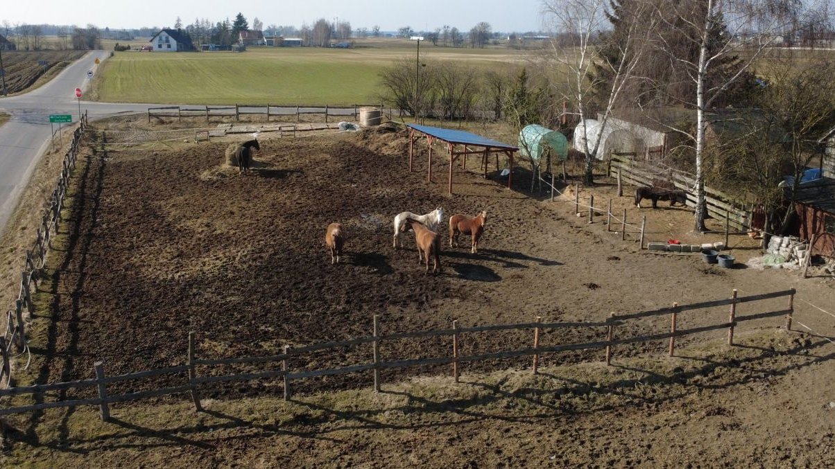 Dom z własną stajnią na 1,08 ha idealne miejsce dla miłośników Natury
