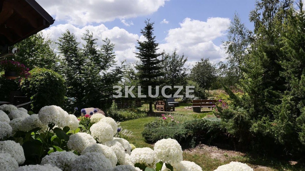 Dom z bala na dużej działce, Boduszyn gm. Niemce