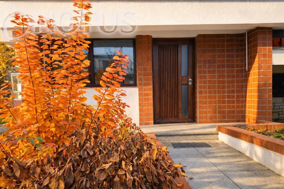 Dom 368 m2 z ogromnym potencjałem w Ciechocinku