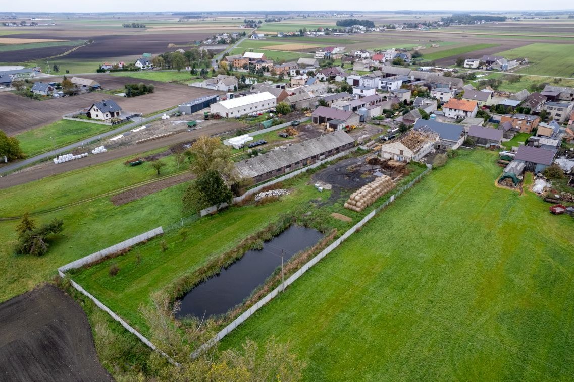 Dom (270 mkw.) budynki gospodarcze, działka (70a)