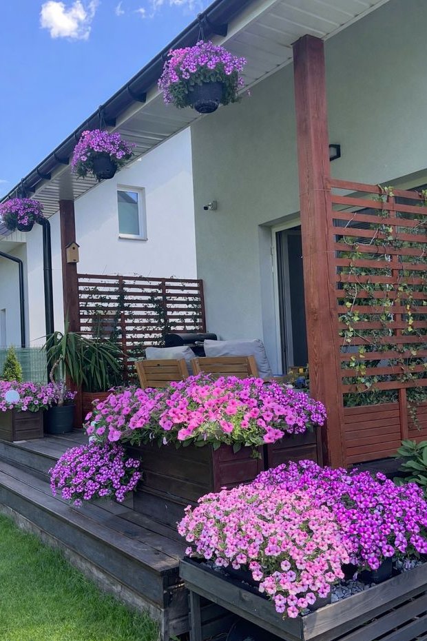 Dom wolnostojący / 15 min do Warszawy / Klima / Sauna / Ogród