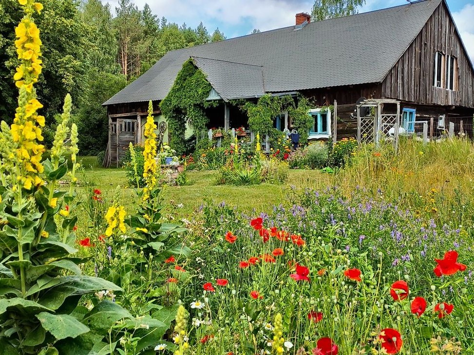 Klimatyczny drewniany dom w lesie