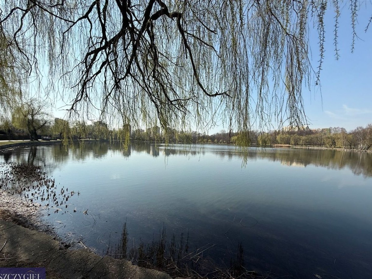 Chorzów Gwarecka- Skałka- 2 pokoje, 41 mkw, balkon