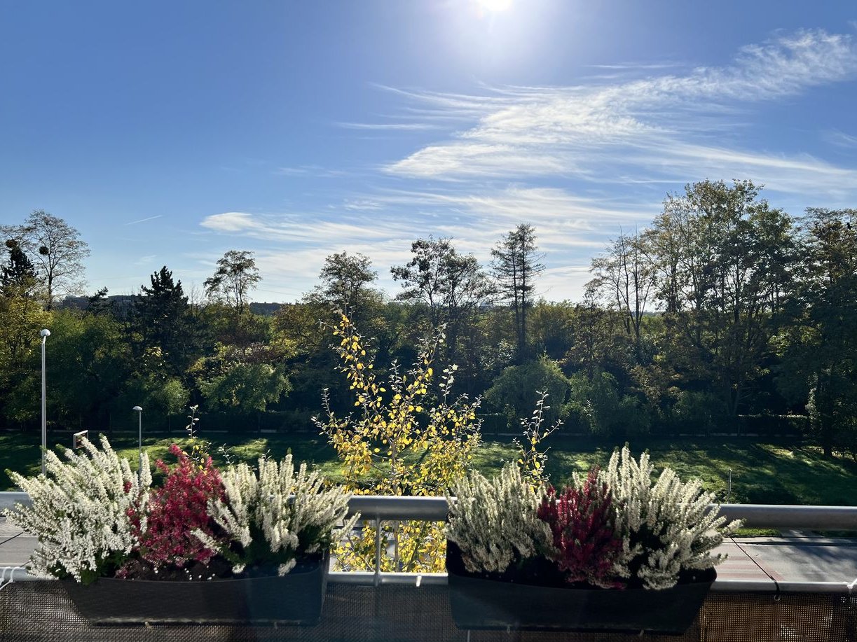 Mieszkanie dwupoziomowe bezpośrednio od właściciela