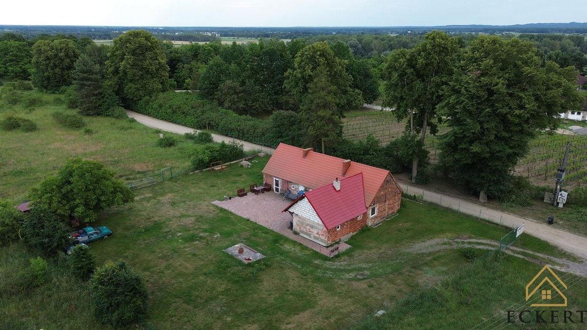 GÓRZYKOWO - dom przy samej winnicy